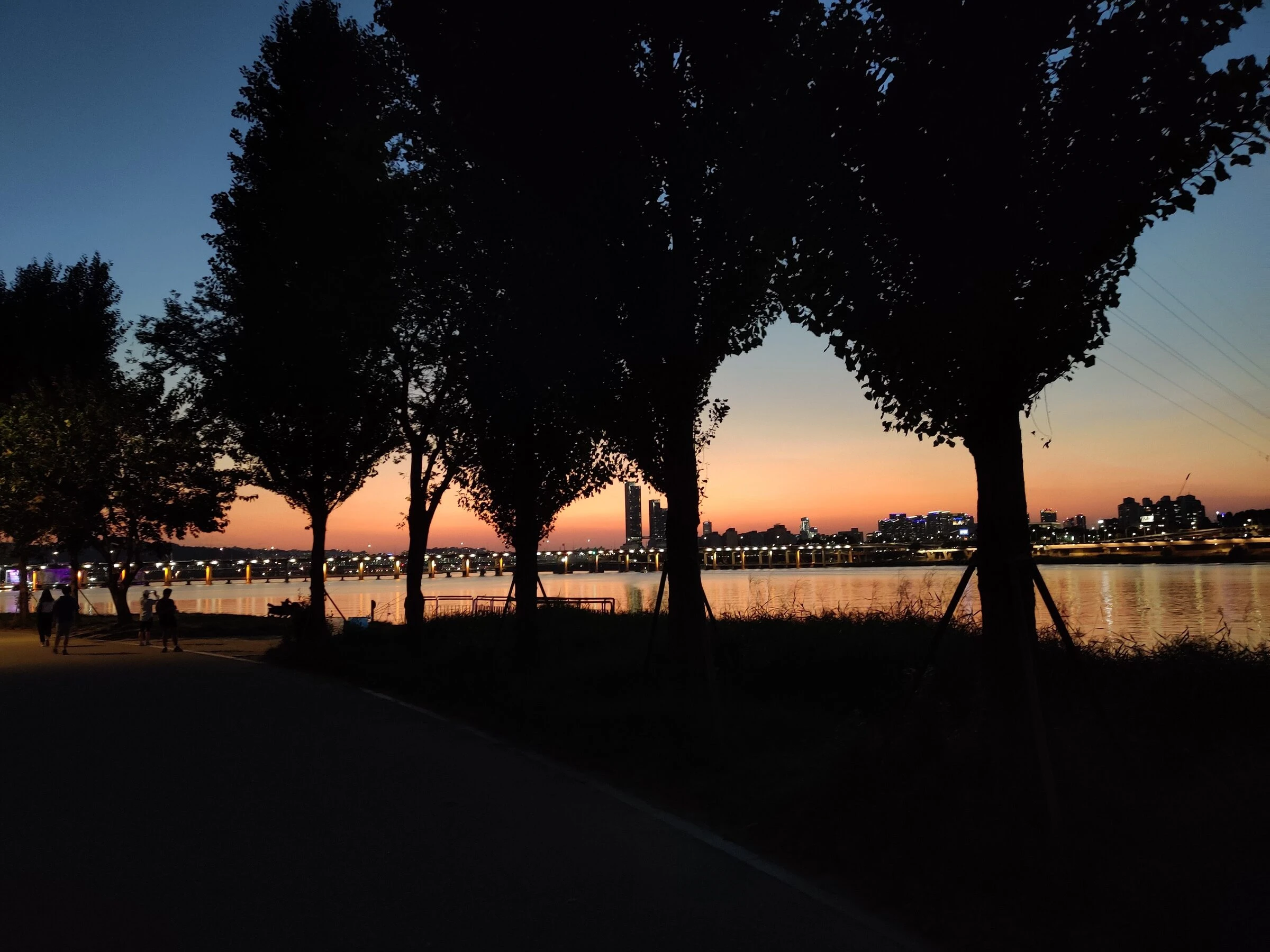 A tree-lined riverside avenue at dusk in Banpo, the Seoul skyline glowing across the Han River.
